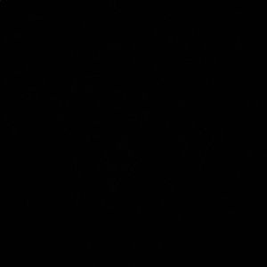 Meet your Posher, Rameek